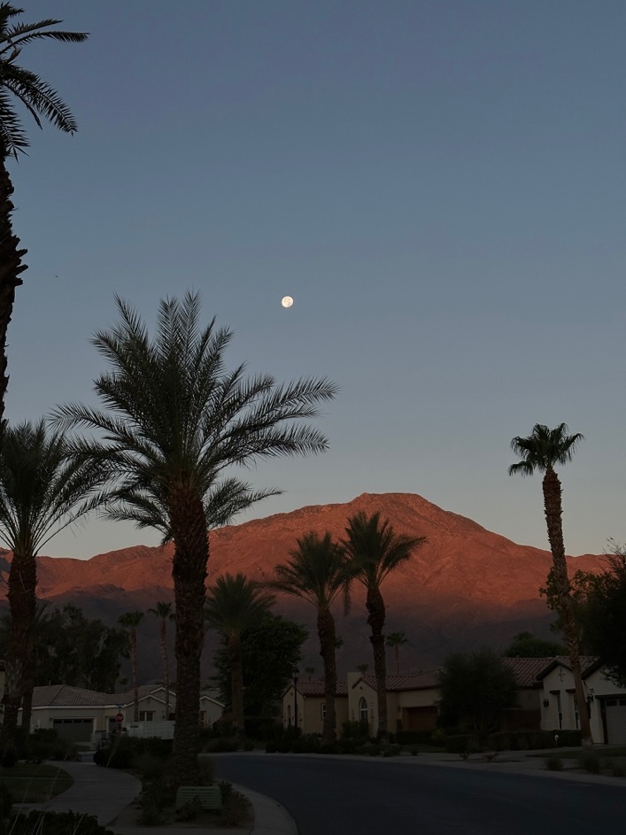 Palm trees and mountains at dusk